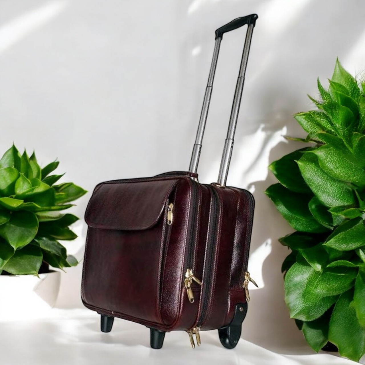 Cabin trolly bags | geniune leather | Montbold